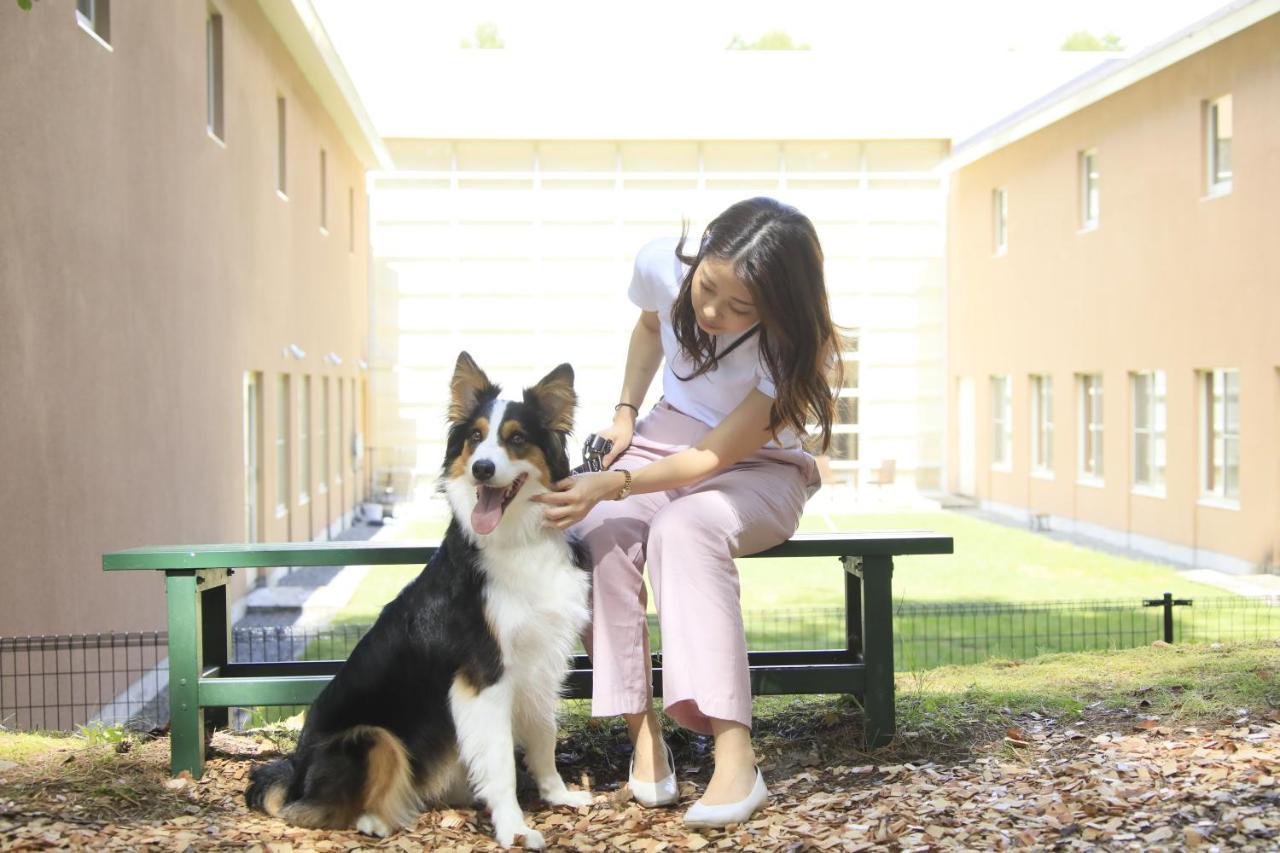 Yutorelo Tateshina Hotel With Dogs Тино Экстерьер фото