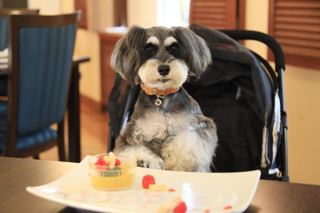 Yutorelo Tateshina Hotel With Dogs Тино Экстерьер фото