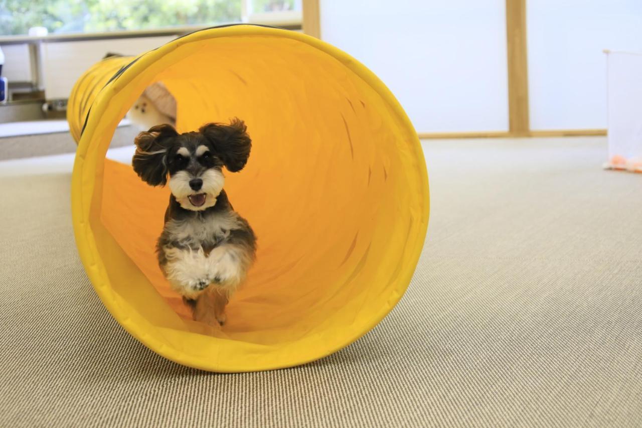Yutorelo Tateshina Hotel With Dogs Тино Экстерьер фото